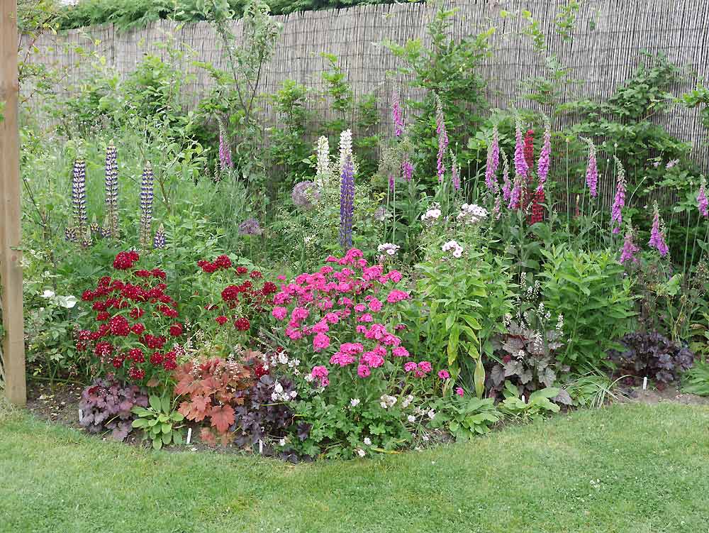 Herbaceous Border Suffolk