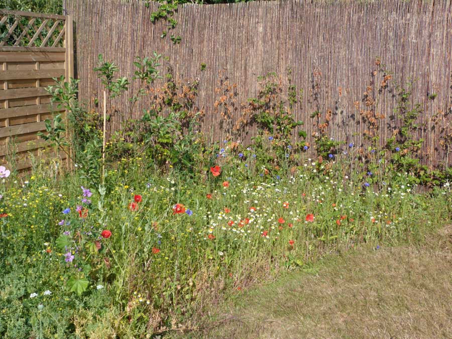 Wildlife Gardening Suffolk